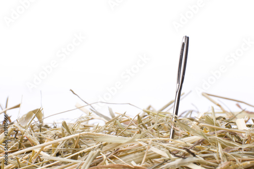 Nadel im Heuhaufen