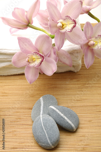 Pink orchid with flower towel and pebbles isolated