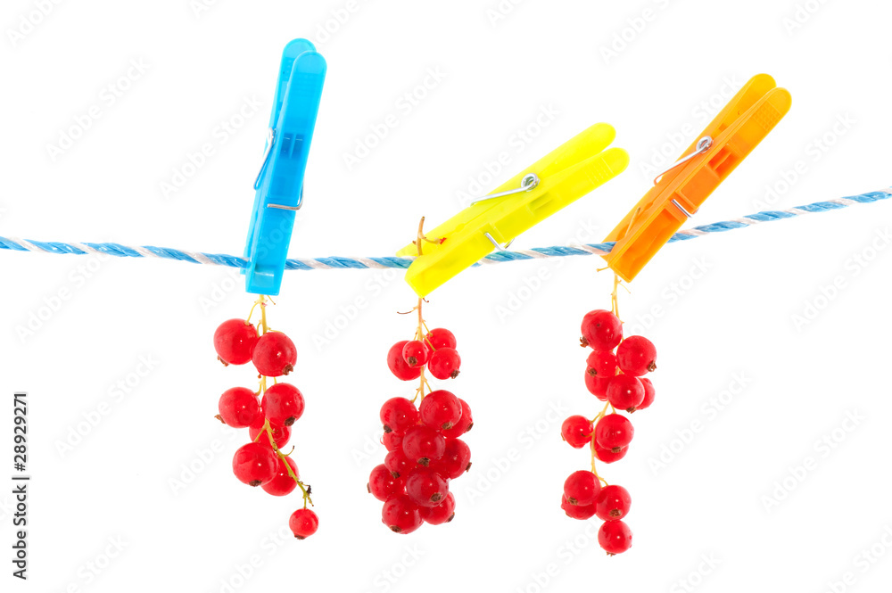 Red currants Red currants