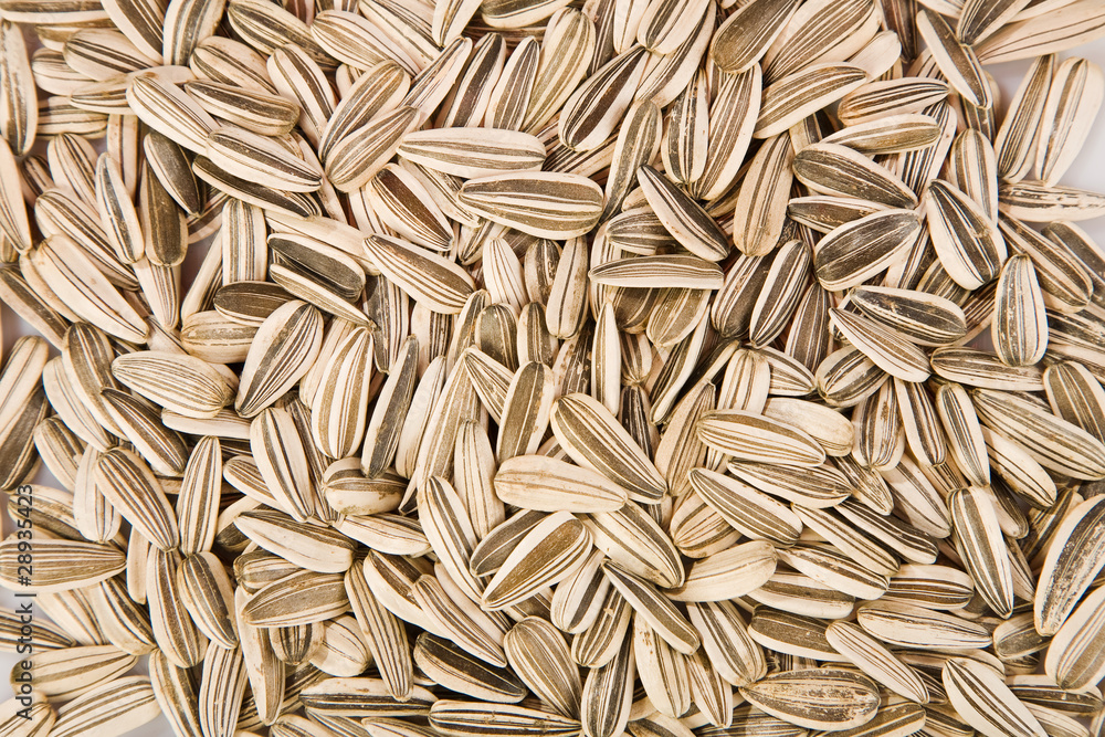 Sunflower seeds