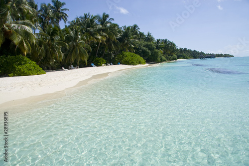 Fototapeta Naklejka Na Ścianę i Meble -  clear transparent water in maldives