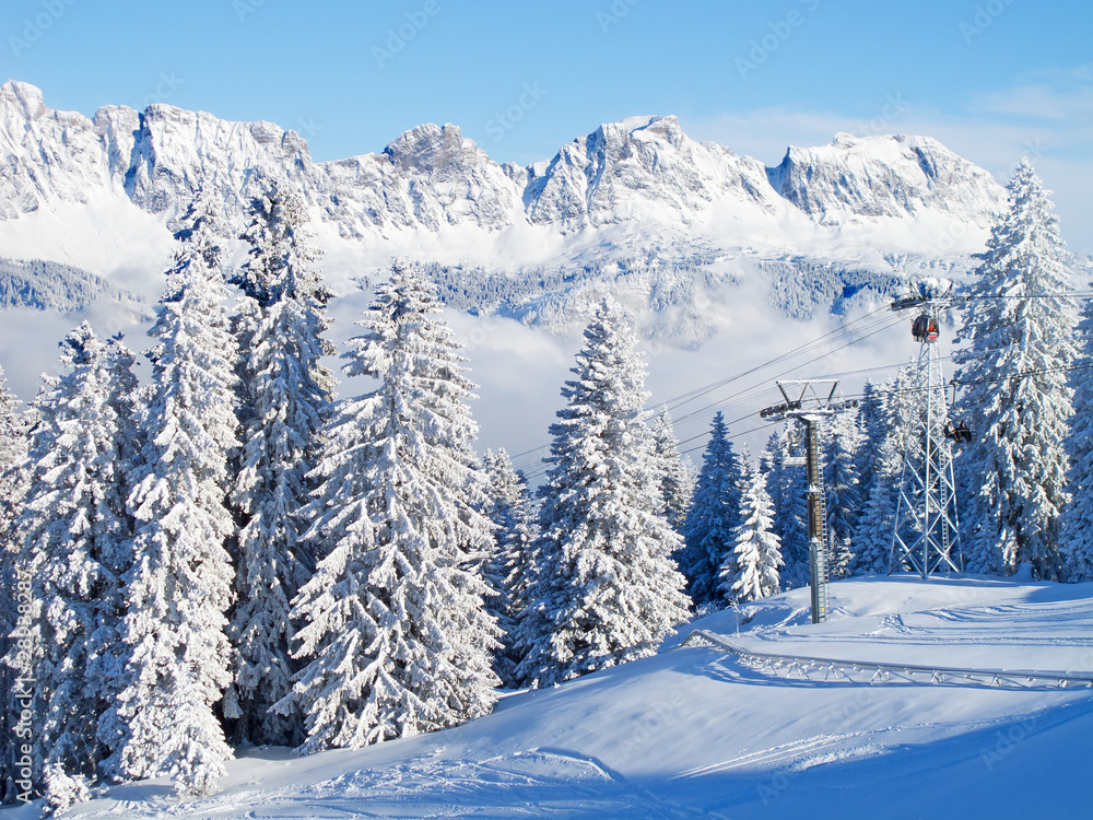 Obraz premium Skiing slope