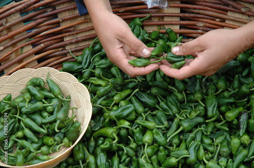 vendeuse de piments verts à St Jacques de Compostelle photo