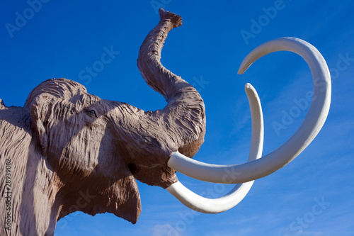 Woolly Mammoth head