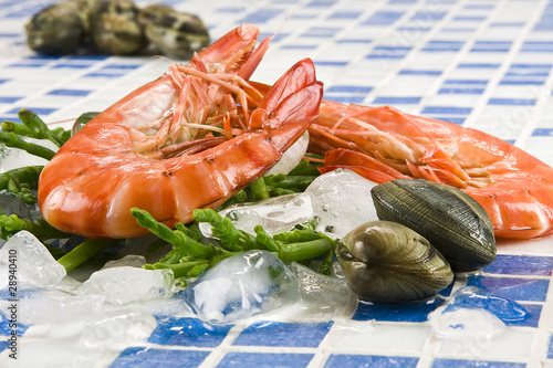 Garnelen und Venusmuscheln photo