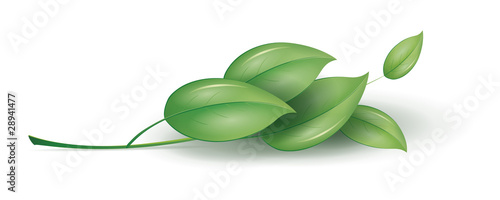 green plant