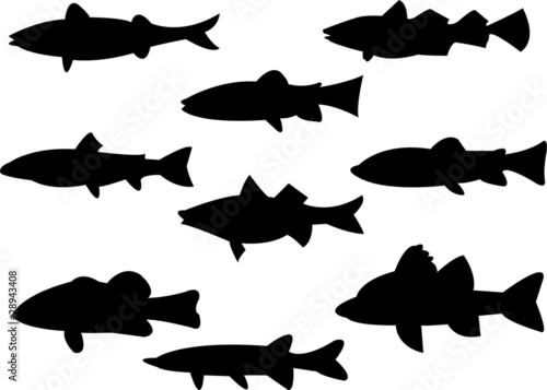 collection of fish silhouette - vector