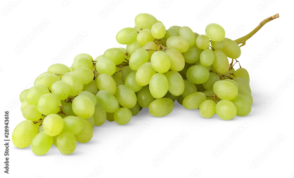 Isolated grapes. Bunch of white grape isolated on white background