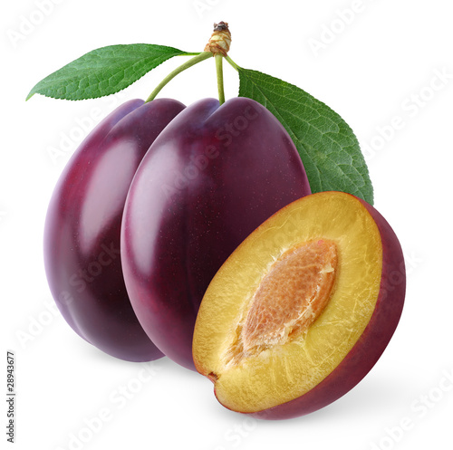 Isolated plums. Two whole purple plums on a branch and one half isolated on white background