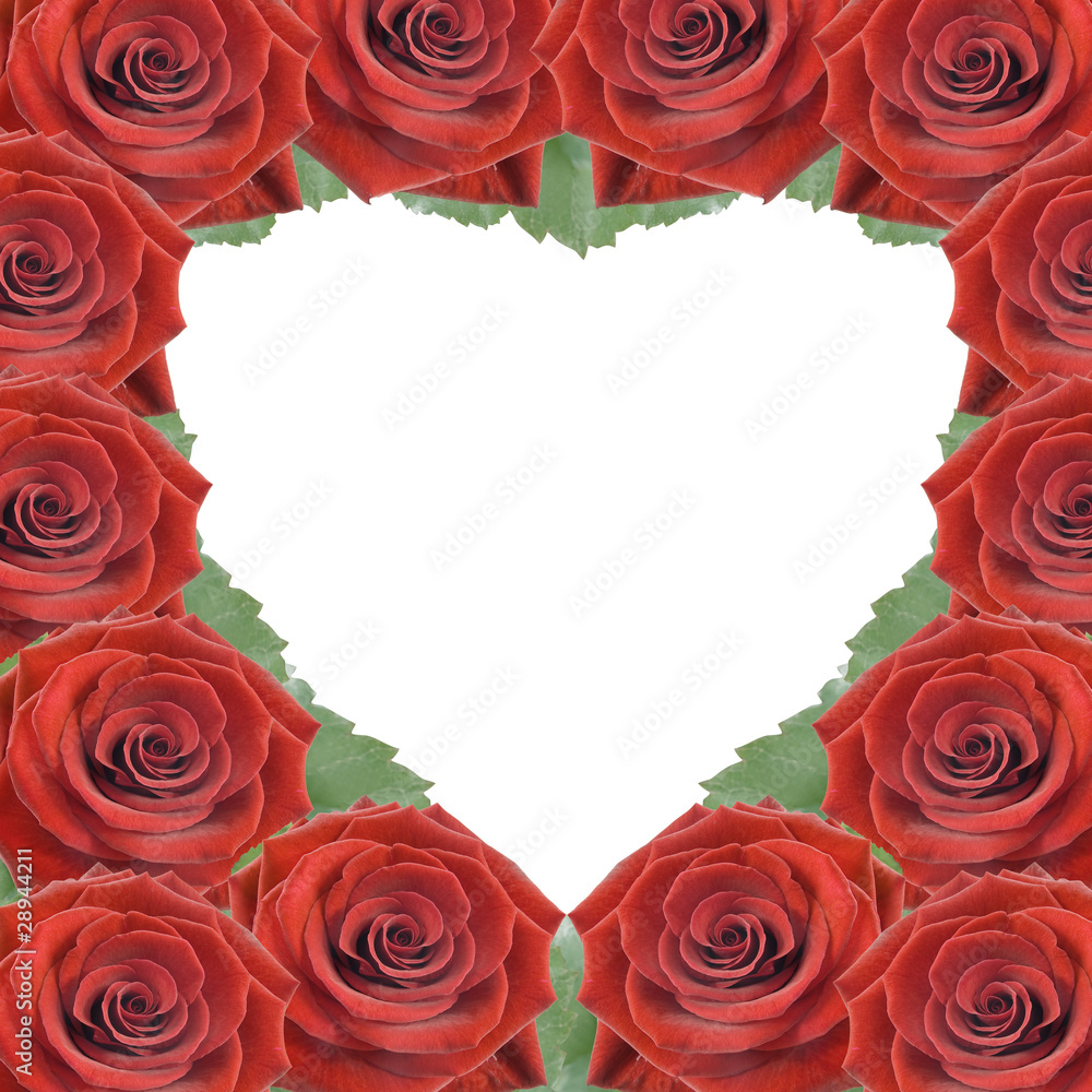 Card for congratulations with red roses Card for congratulations with red roses
