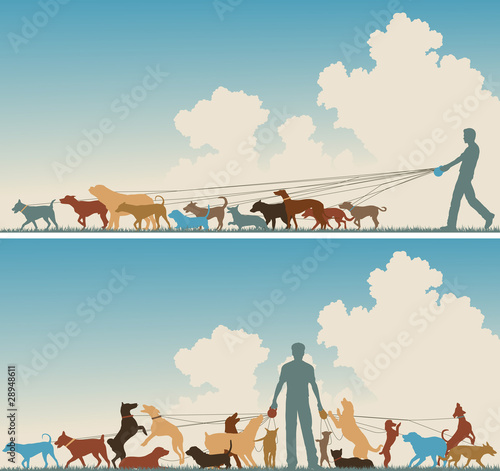 Dog walker