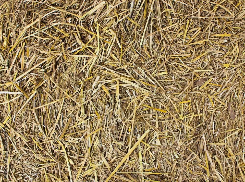 Hay seamless background. Hay seamless background.