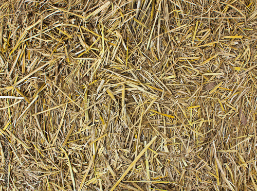Hay seamless background.