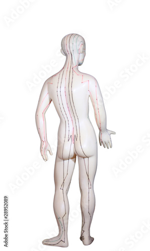 Figur mit Akupunkturpunkten / Meridianen
