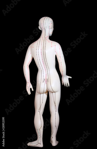 Statue mit Akupunktur-Meridianen / Rückseite