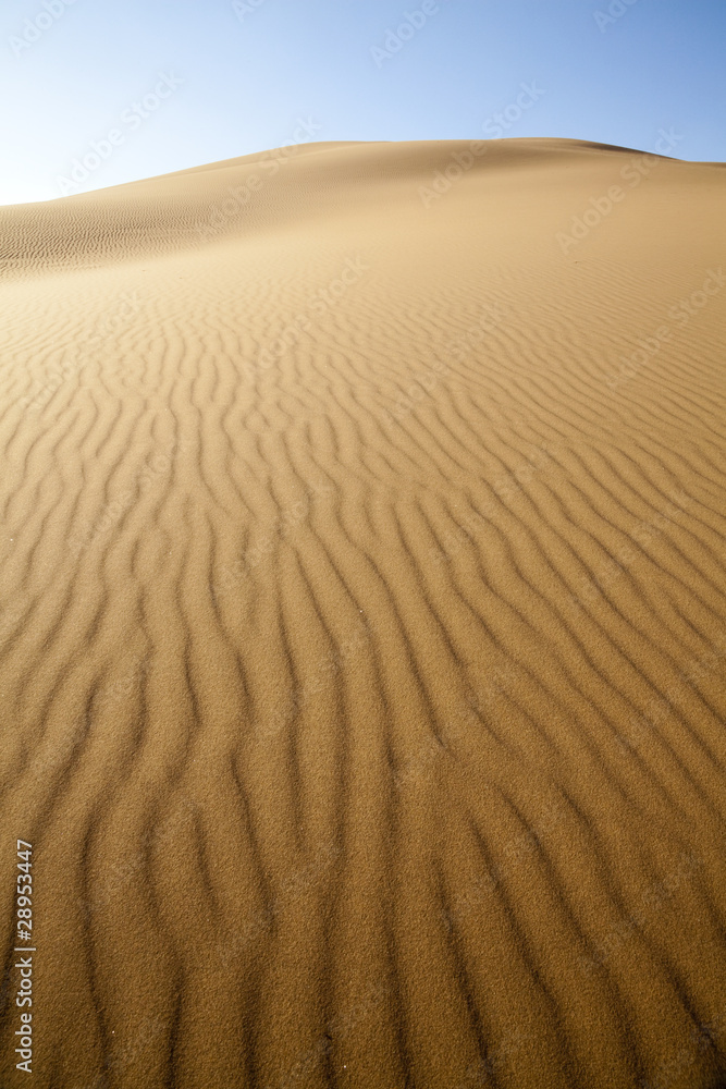 Sand desert Sand desert