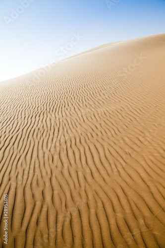 Sand desert