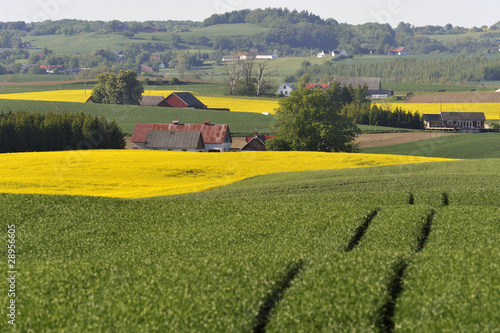 Open landscape with farms and fields