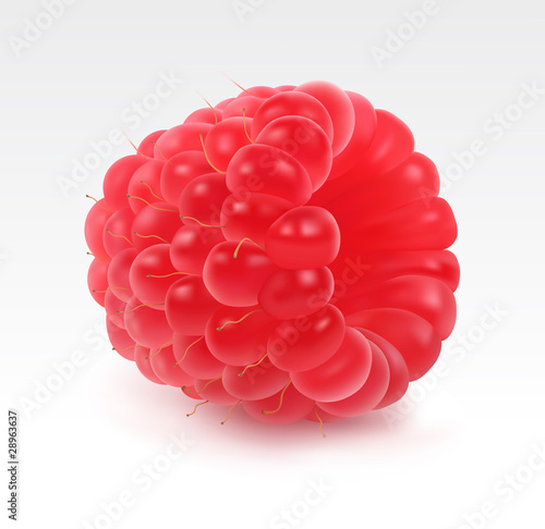 Fresh raspberry single