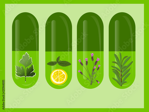 Vector Herbal Medicine