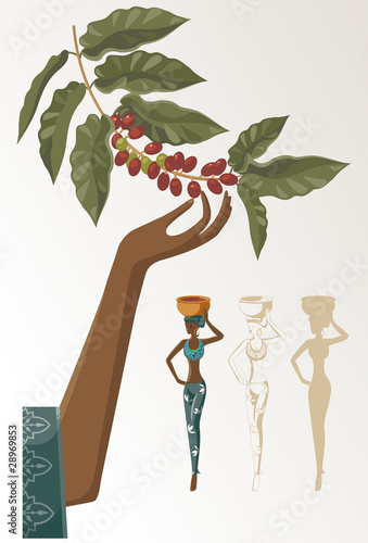 a woman takes the crop of coffee