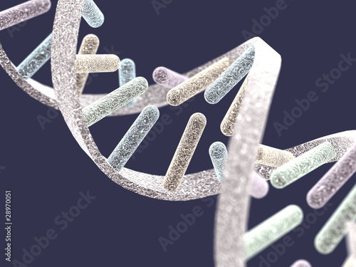 DNA chain on violet background photo