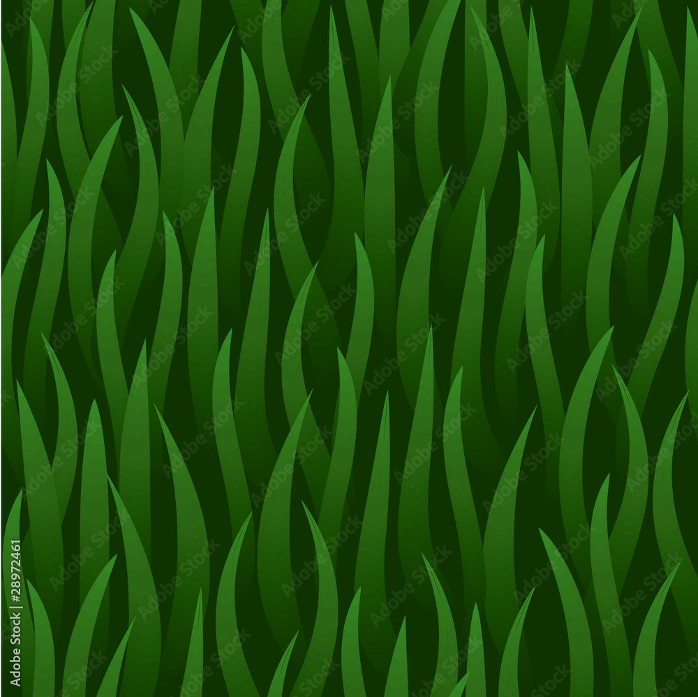 Green lawn