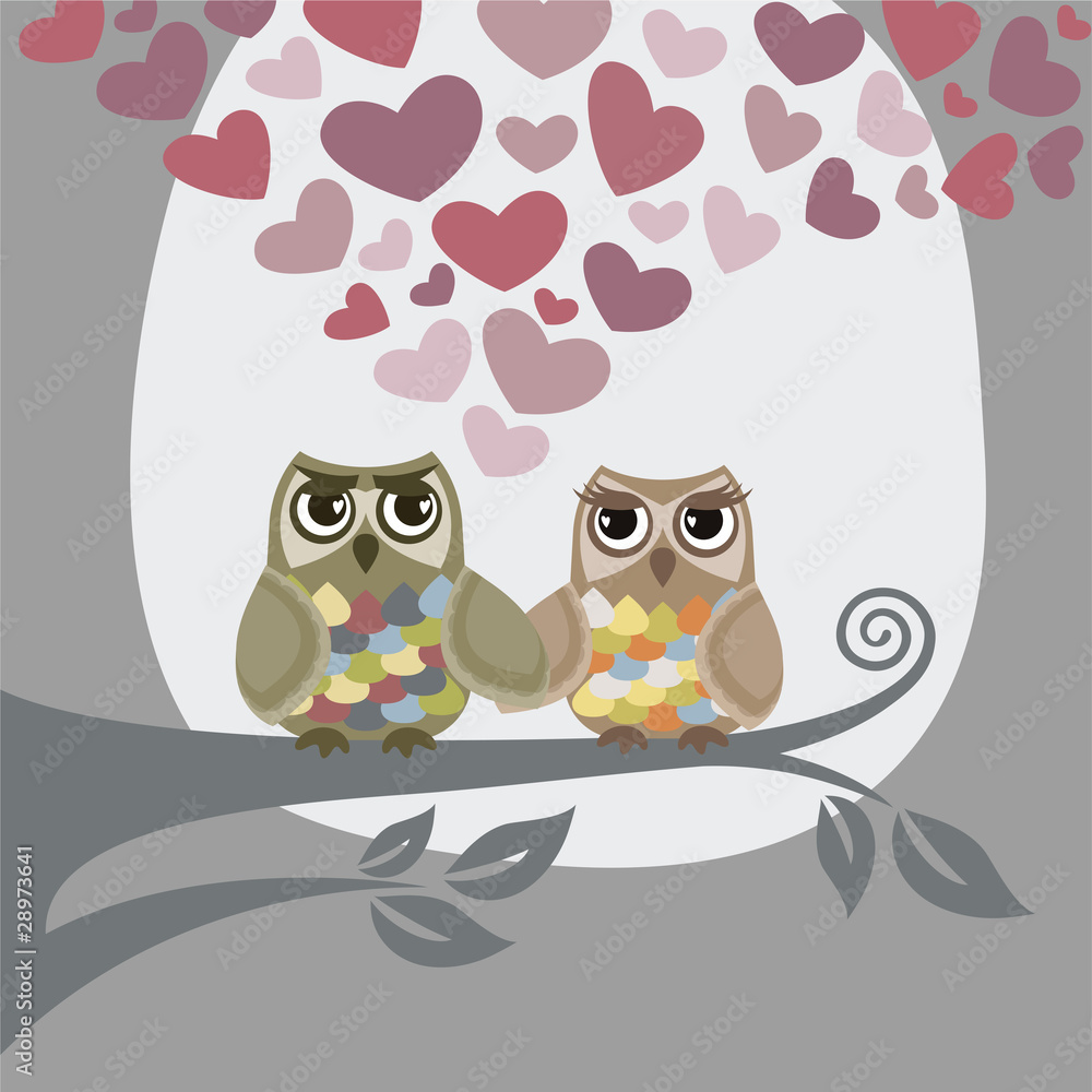 Love is in the air for two owls Love is in the air for two owls