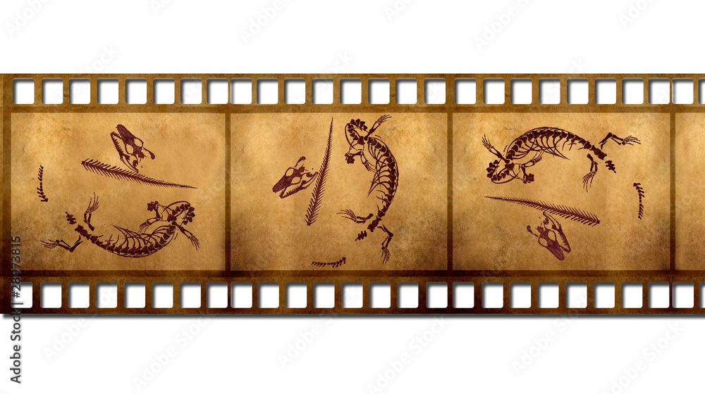 Fototapeta premium Fossils in the old film