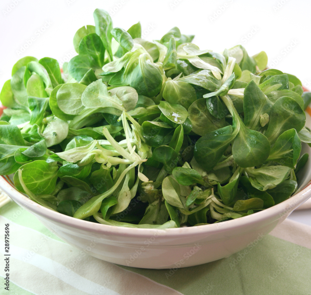 Feldsalat Feldsalat