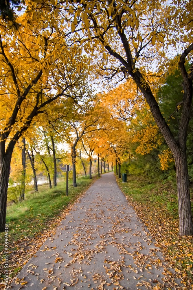 Path in Autumn