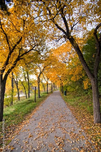 Path in Autumn