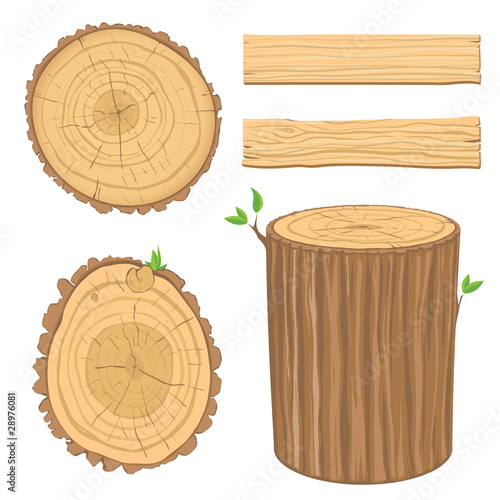 set of wooden materials - cross section of tree trunk, isolated
