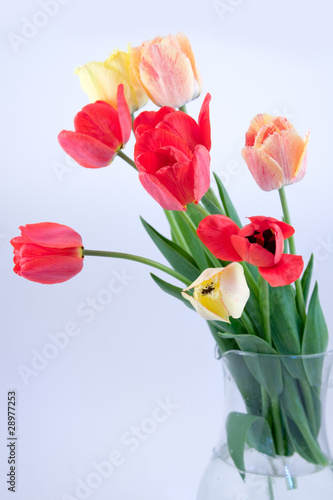 Fototapeta Naklejka Na Ścianę i Meble -  Beautiful bouquet of tulips