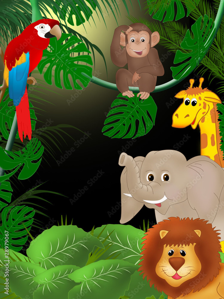 African animals African animals
