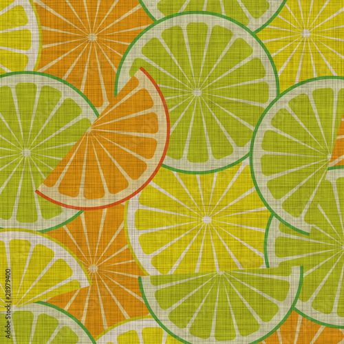 illustration of citrus slices on linen