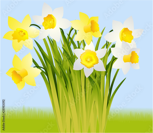 Spring flowers