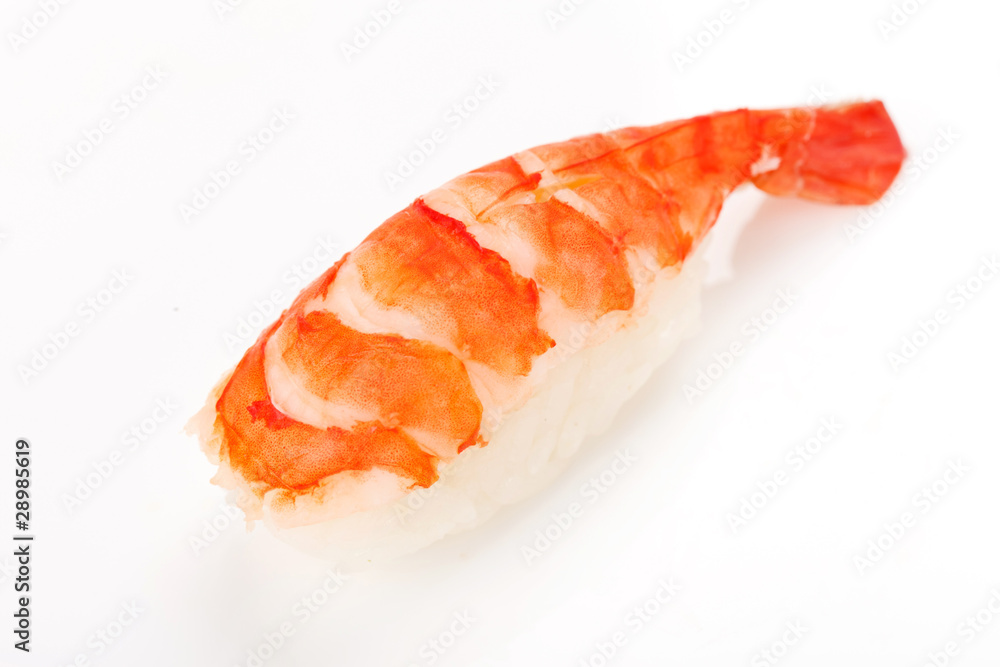 sushi on the white sushi on the white