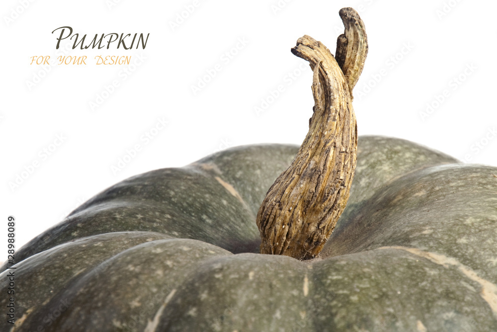 ripe pumpkin ripe pumpkin