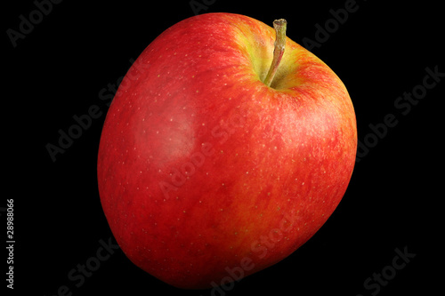 Red Golden Delicious Apple