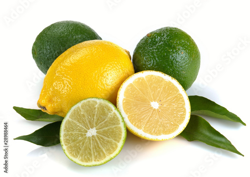 Lemon and lime with leaves