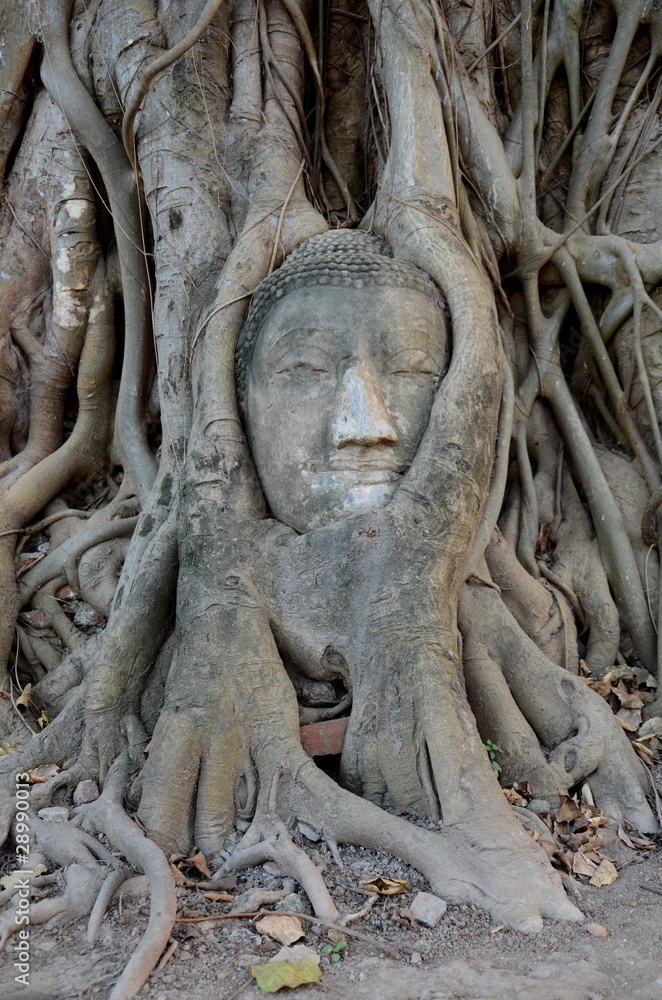 monk monk