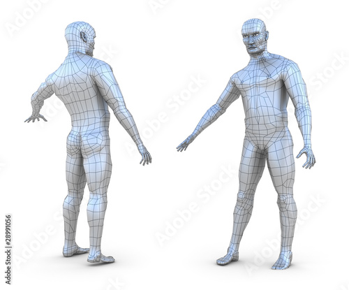 human male 3d mesh model isolated on white