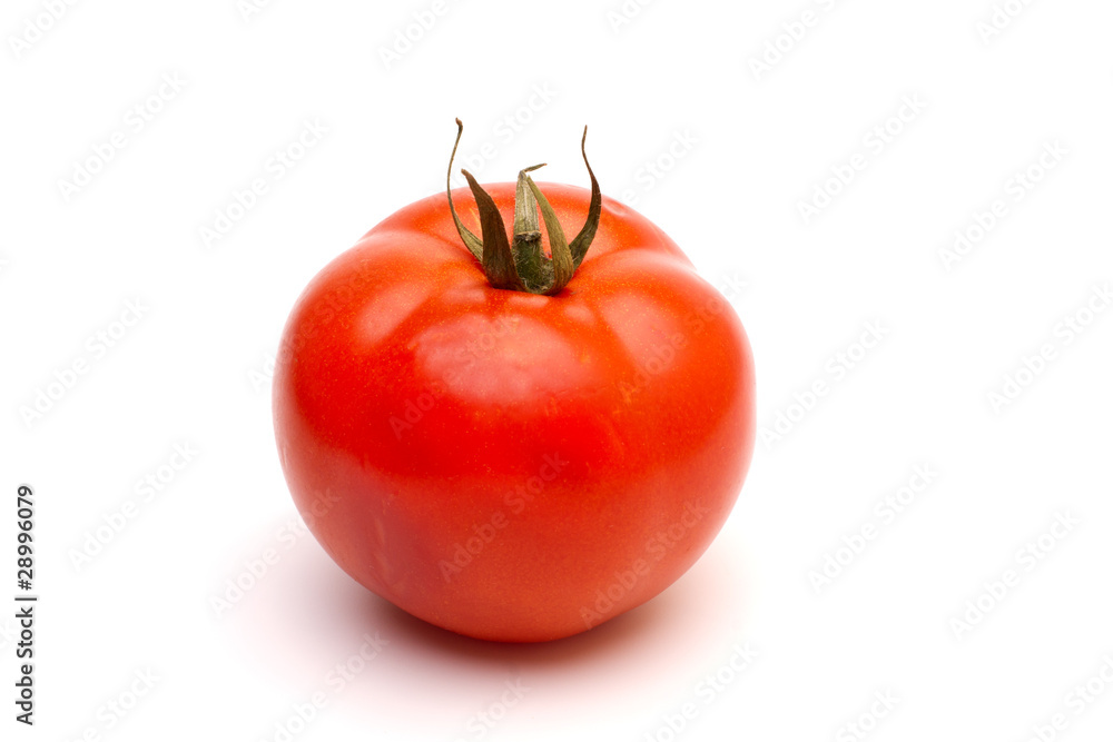 fresh tomato fresh tomato