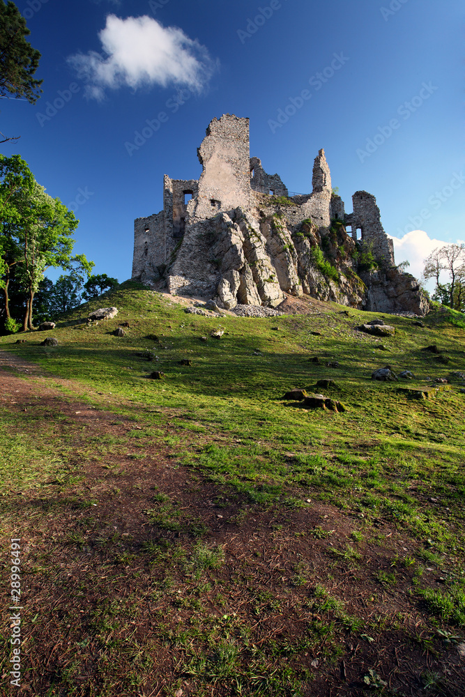 View of castle Hrusov