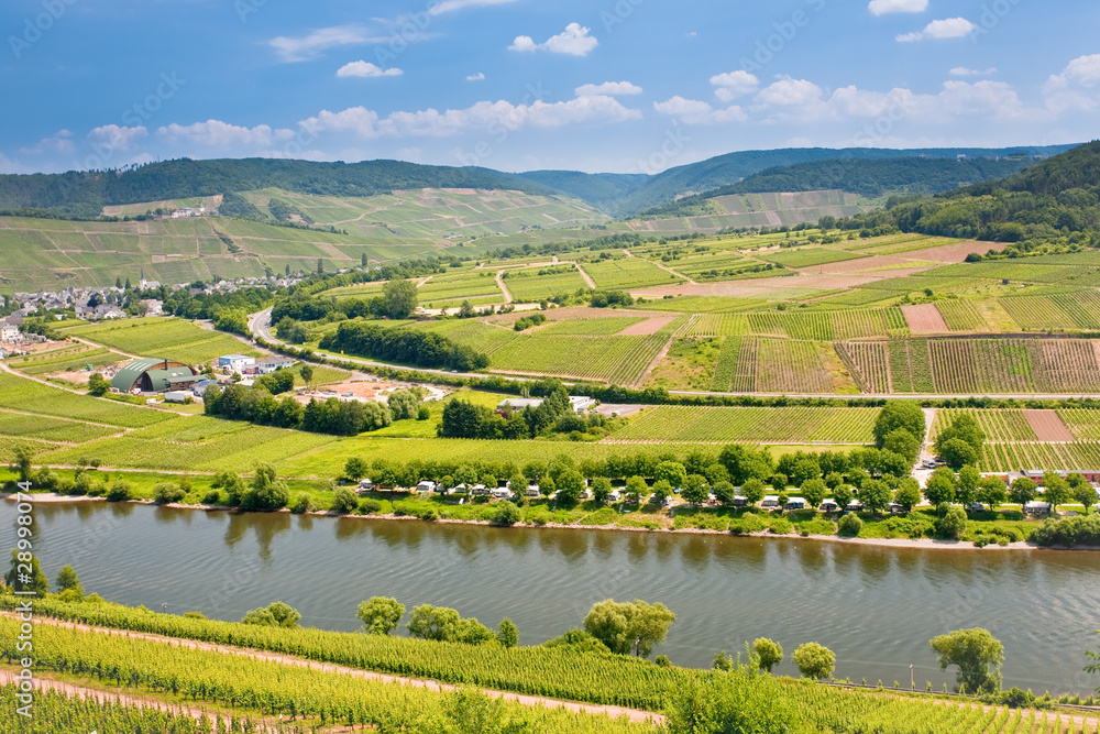 view on Moselle valley in Germany