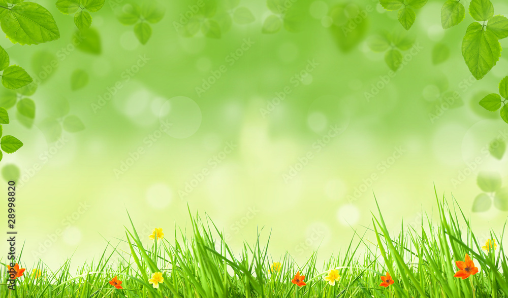 Obraz premium Spring background