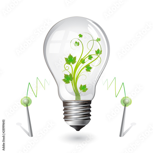 light bulb for eco