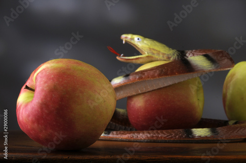 Fotografie El pecado