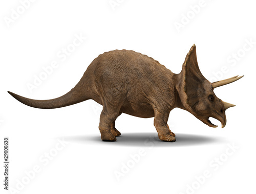 3d Triceratops dinosaur side view © Steve Young